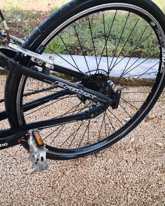 mountain bike usata