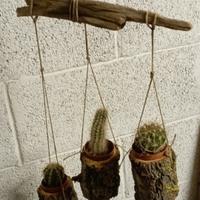 Porta piantine pensile