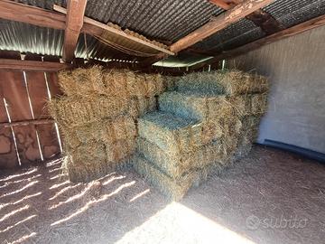 Fieno primo taglio in ballette, euro 3.50 caduno