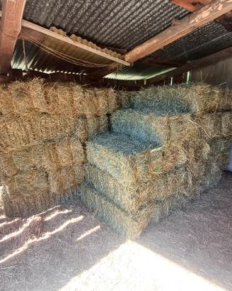 Fieno primo taglio in ballette, euro 3.50 caduno
