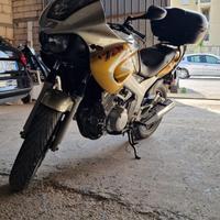 Yamaha TDM 850 1999 Maniacale 40.000km