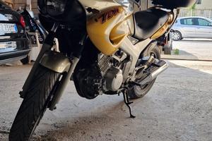 Yamaha TDM 850 1999 Maniacale 40.000km