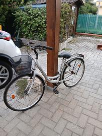 bicicletta con cestino