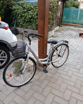 bicicletta con cestino