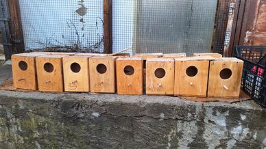 accessori  canarini cocorite 