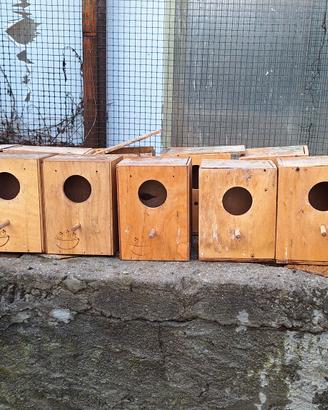 accessori  canarini cocorite 