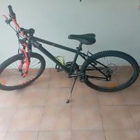 mountain bike