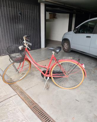 Bici da passeggio
