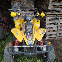 Quad Polaris Trail 250