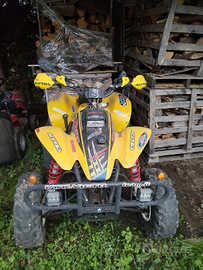 Quad Polaris Trail 250