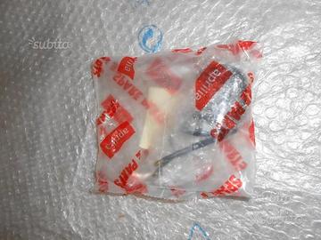 Fanalino targa scarabeo ligh