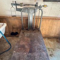 Bilancia pesa bascula