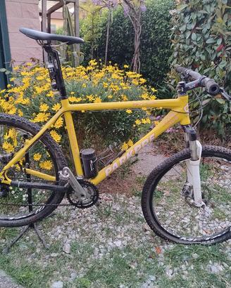 MTB Mountain Bike Parkpree