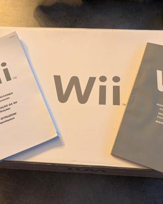 Nintendo Wii