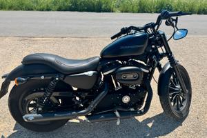 Harley devidson iron 883