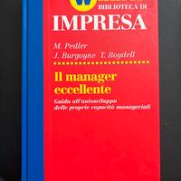 Il manager eccellente