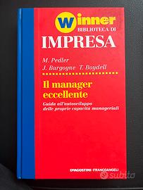 Il manager eccellente