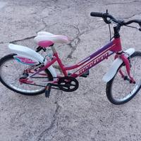 Mountain bike femminile 