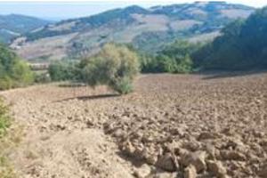 RGE 68/2023 - Tribunale di Urbino - Lotto 2