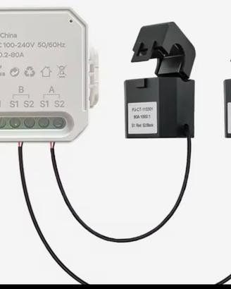 Modulo controllo consumo elettrico 80A
