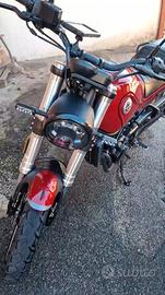 Benelli Leoncino 500 Trail