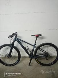 Bicicletta mtb