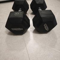 manubri 20kg Technogym