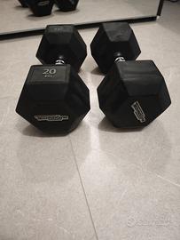 manubri 20kg Technogym