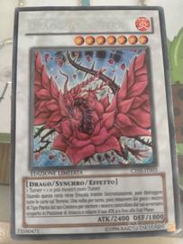 Drago rosa nera