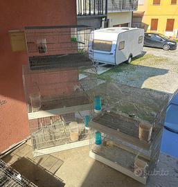 gabbie professionali