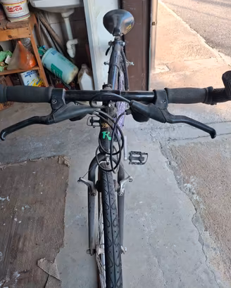 bicicletta 