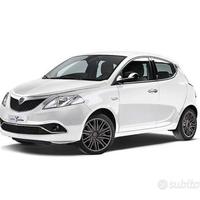 Ricambi usati Lancia ypsilon musa delta 2010 2020