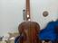 Immagine 2