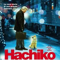HACHIKO poster 100x70