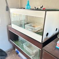 Teche per serpenti rh frank