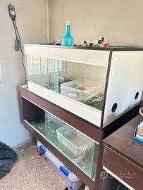 Teche per serpenti rh frank