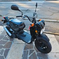 Honda Zoomer 50 - 2007