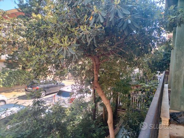 Appartamento – Bagheria, Angiò, Scalidda - Vista 4