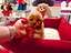 Immagine 12
