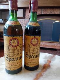 bottiglie spanna 1964 cantine curti