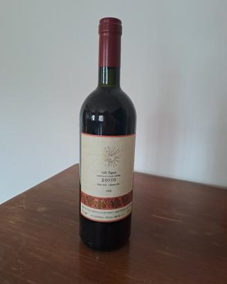 bottiglia di vino rosso dei colli euganei