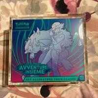 Pokémon Allenatore Fuoriclasse Avventure Insieme