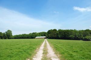 Terreno di 1850 m² a Lucca