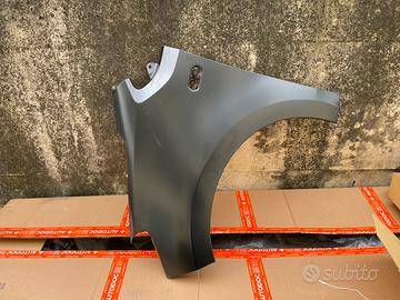 PARAFANGO Anteriore sx