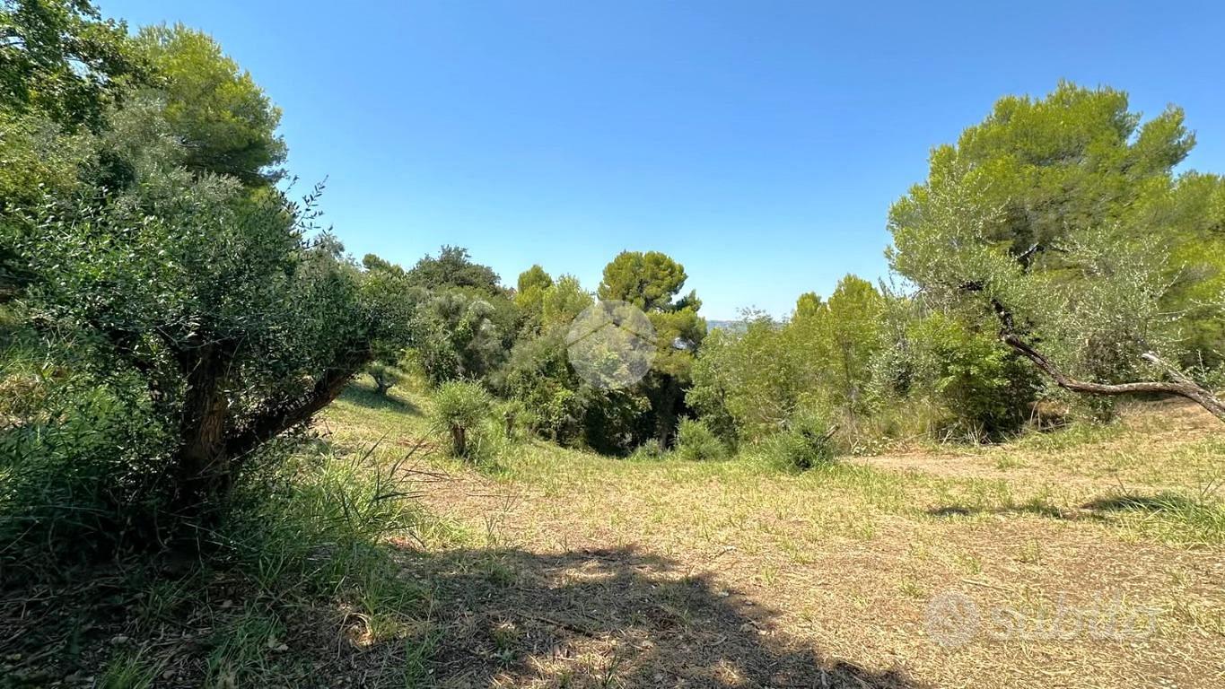 TER. AGRICOLO A GROTTAMMARE - Altro