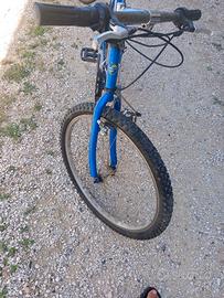 Bicicletta mtb
