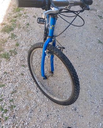 Bicicletta mtb