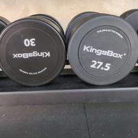 Kingsbox Manubri 27.5 Kg