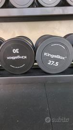 Kingsbox Manubri 27.5 Kg