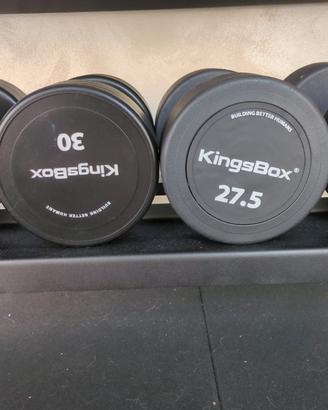 Kingsbox Manubri 27.5 Kg